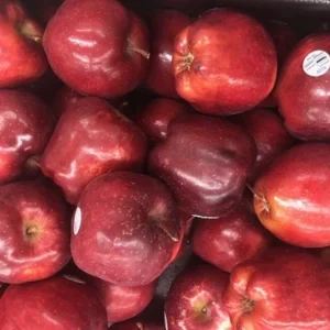 Washington Red Delicious Apple