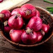 Onion (Vengayam)