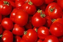 Tomato (Thakkali)