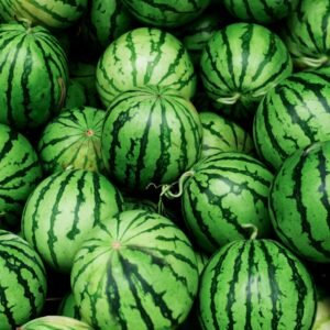 Watermelon (Dharboosani)